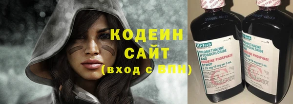 амф Вяземский