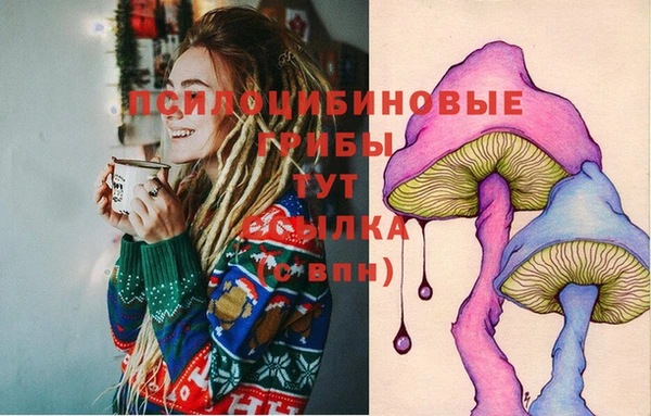 амф Вязьма