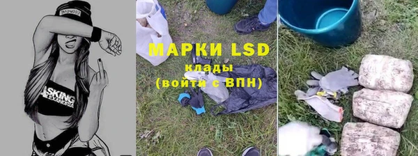 амф Вяземский