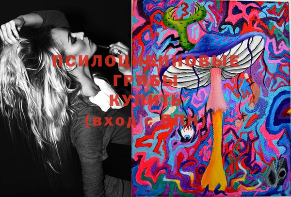 амф Вязьма