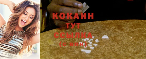 амф Вяземский