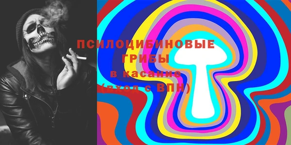 амф Вяземский