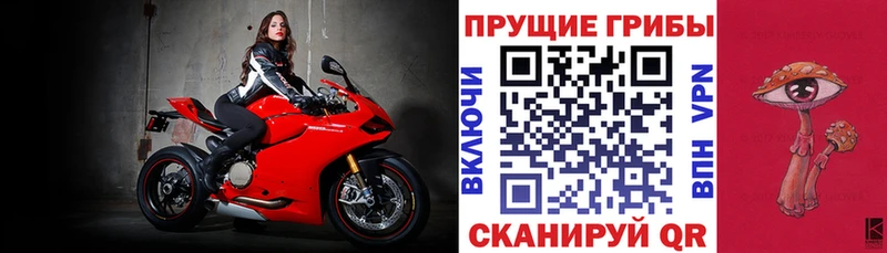 это телеграм  Инсар  Галлюциногенные грибы прущие грибы  ОМГ ОМГ ссылка 